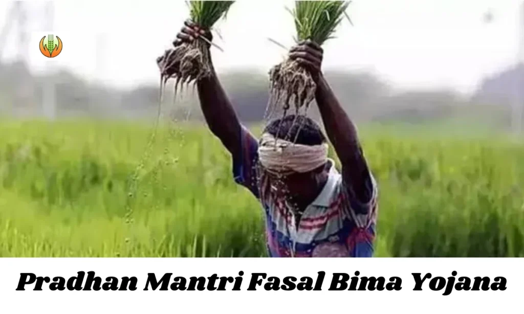 Pradhan Mantri Fasal Bima Yojana